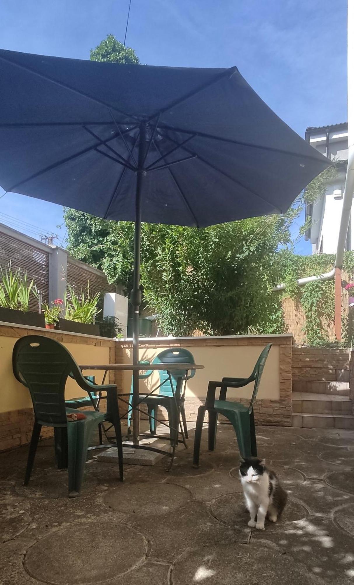 דירות Trenčín Privat 2 Na Sihoti מראה חיצוני תמונה